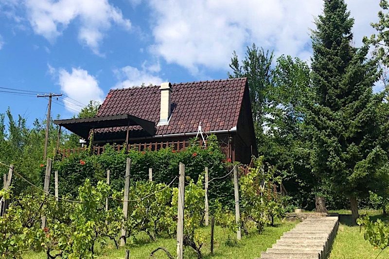 Fenyveshegyi Házikó