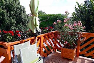 Viki Apartman