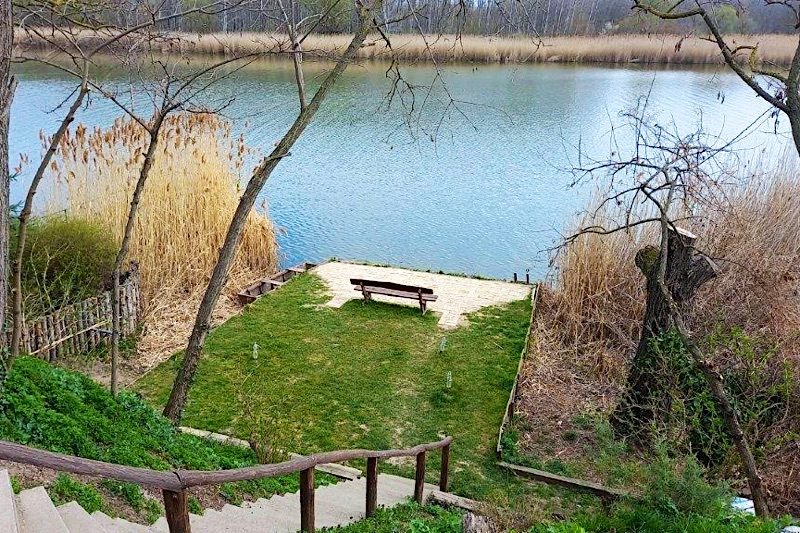 Süllőfészek